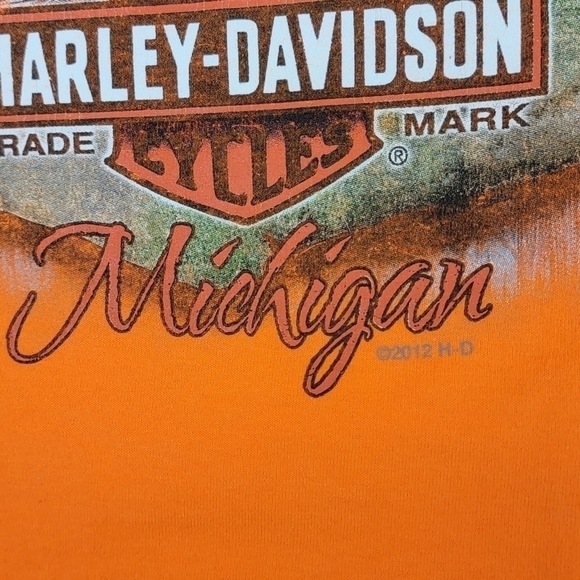 Harley Davidson Orange Grand Rapids Michigan Motorcycle Graphic T-Shirt Sz L - Picture 5 of 11